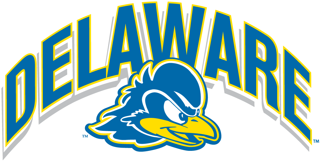 Delaware Blue Hen 2009-2018 Alternate Logo diy DTF decal sticker